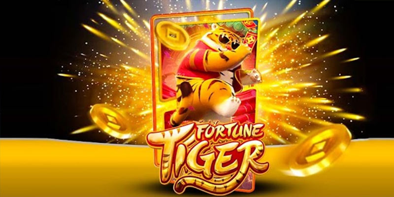 Quem é o Fortune Tiger 666betbet.Com